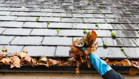 Roof Ranger Explains the True Cost of Ignoring Roof Repairs